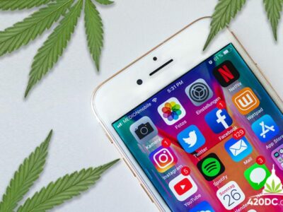 cannabis business social network